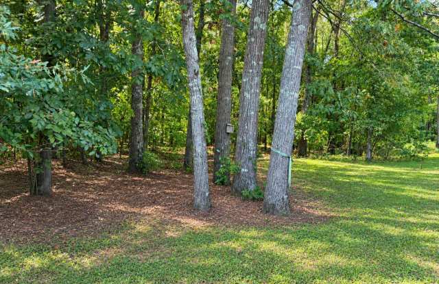 Charming 4-Bedroom Home with Spacious Yard in a Peaceful Country Setting Gallery 4