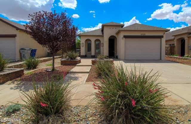 2209 HONOUR POINT Place - 2209 Honour Point Place, El Paso, TX 79938