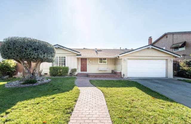 Spacious South Bay Home in Charming Neighborhood! Available 7/4! photos photos