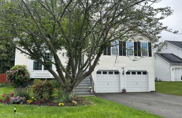 99 Tanterra Drive photos photos