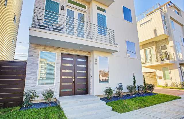 1305 Lakin Street - 1305 Lakin Street, Houston, TX 77007