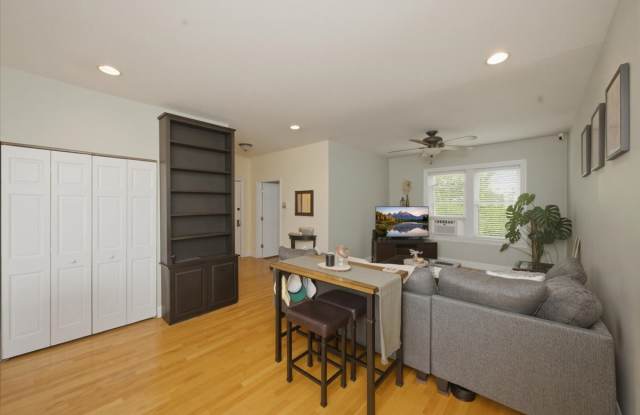 1319 West Addison Street - 1319 West Addison Street, Chicago, IL 60613