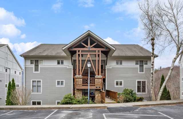 Live High Country. Live Elevated. Live Seven Devils. - 175 Hawks Peak Lane, Seven Devils, NC 28604