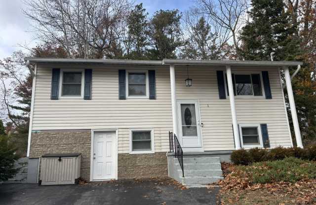 52 Trottingham Road photos photos