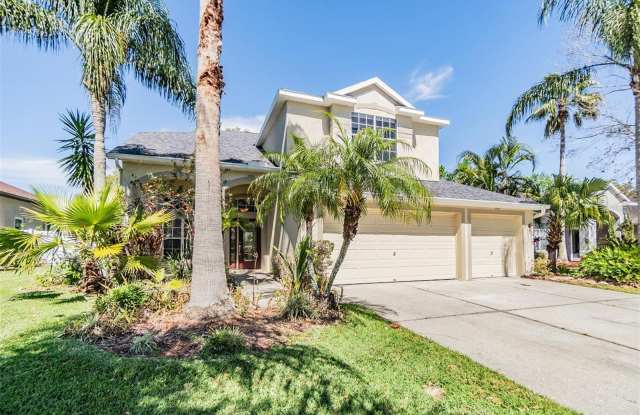 22819 Eagles Watch Dr - 22819 Eagles Watch Drive, Land O' Lakes, FL 34639 22819 Eagles Watch Dr - 22819 Eagles Watch Drive, Land O' Lakes, FL 34639