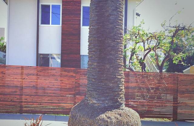 This upstairs 2 bed / 1 bath apartment in Echo Park is now available - Includes private parking and in-unit laundry! photos photos