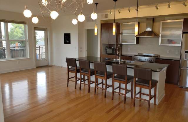 Beautiful 2-bed, 2-bath condo in Jefferson Park photos photos