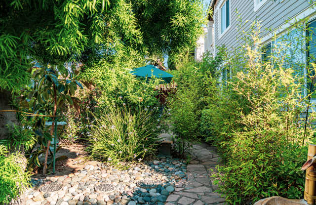 3116 Macaulay Street Gallery 4