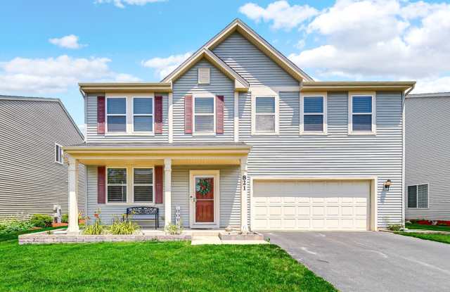 821 Chopin Place - 821 Chopin Place, Volo, IL 60073