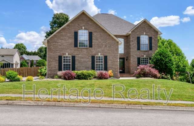 11236 Hatteras Drive photos photos