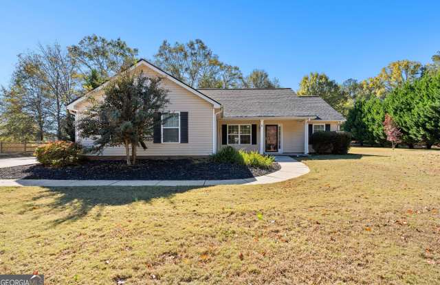 47 Matthews Street photos photos