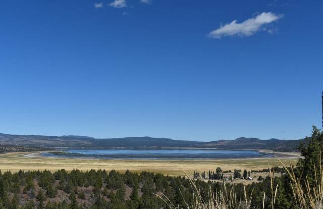 692-490 Lahonton Heights Dr - 692-490 Lahonton Heights Drive, Lassen County, CA 96130