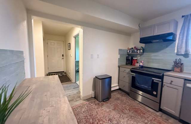 Rickert Street 2020 Apt #2 Basement Unit Gallery 4