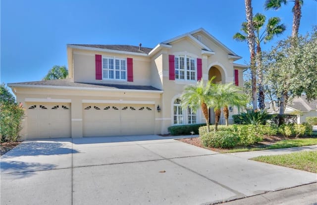 16174 COLCHESTER PALMS DRIVE - 16174 Colchester Palms Drive, Tampa, FL 33647