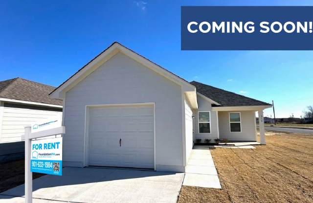 316 Chestnut Street photos photos