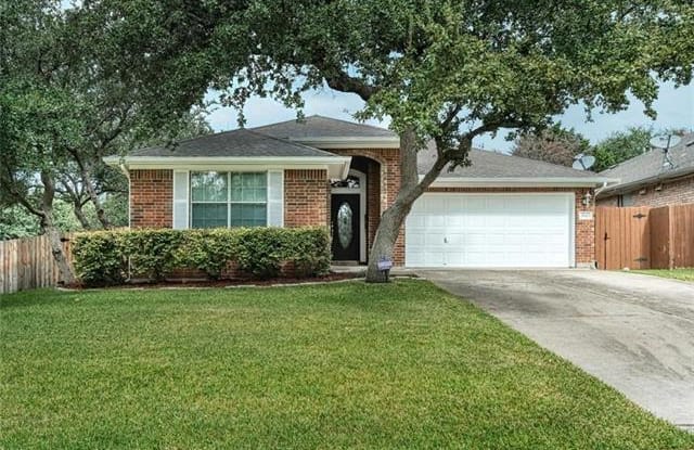 3840 Noe LN - 3840 Noe Lane, Round Rock, TX 78681