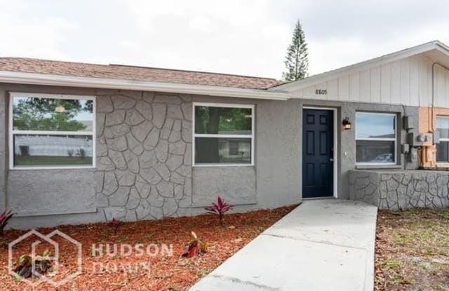 8805 Plum Grove Court - 8805 Plum Grove Court, Town 'n' Country, FL 33634