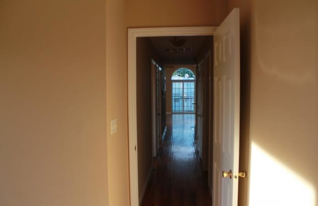 85 Paterson Street Gallery 4