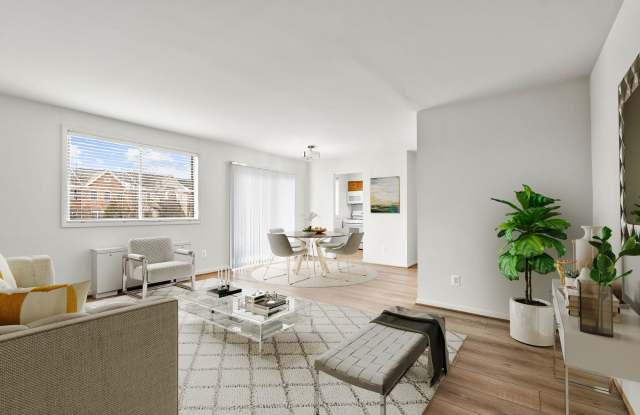 International Apartments Gallery 3
