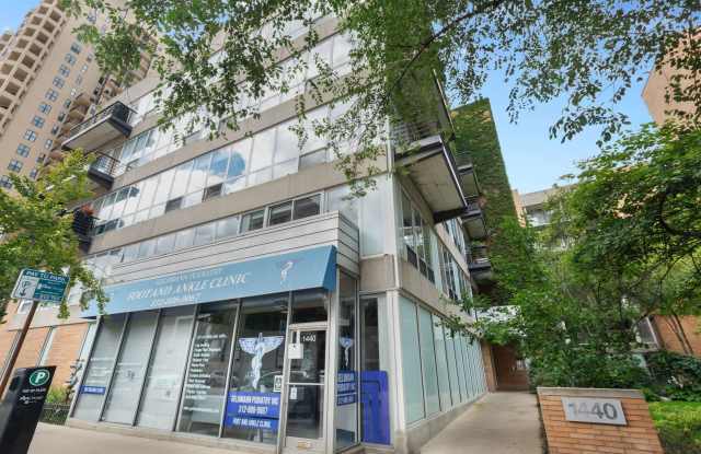 1440 S Michigan Avenue - 1440 South Michigan Avenue, Chicago, IL 60605