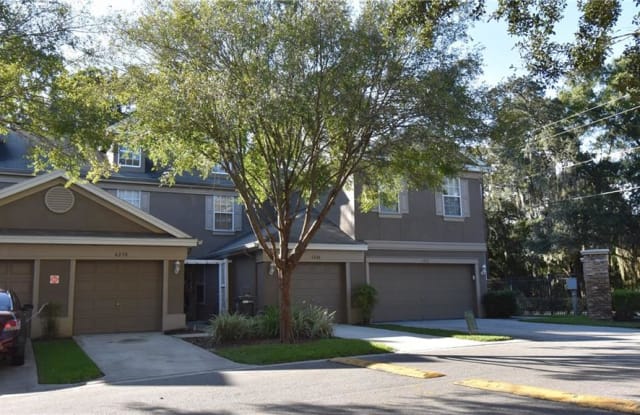 4238 BISMARCK PALM DRIVE - 4238 Bismark Palm Drive, East Lake-Orient Park, FL 33610