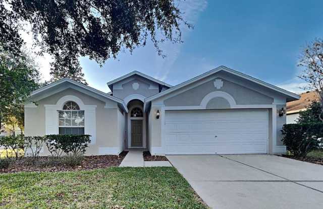 15502 MARTINMEADOW DRIVE - 15502 Martinmeadow Drive, Fish Hawk, FL 33547
