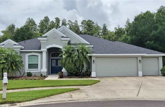 30518 COLEHAVEN COURT - 30518 Colehaven Court, Wesley Chapel, FL 33543