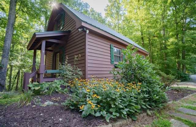701 Lake Forest Drive - 701 Lake Forest Drive, Fannin County, GA 30513