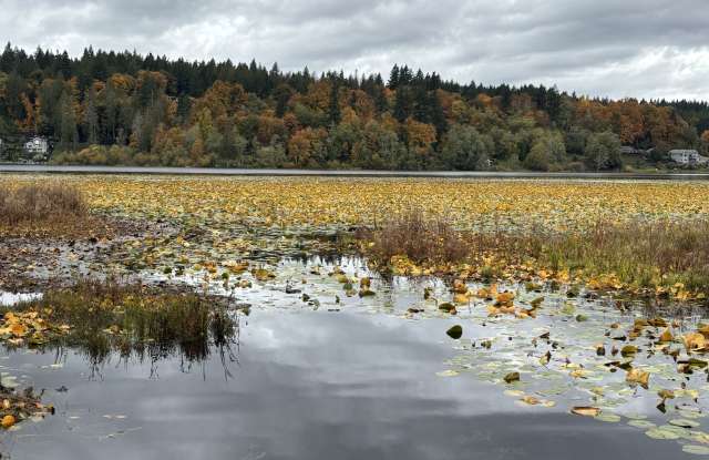 8582 Long Lake Rd Se - 8582 Long Lake Road Southeast, Kitsap County, WA 98367