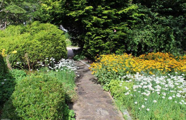 61 Rodman Street - Weekly summer vacation rental Gallery 3