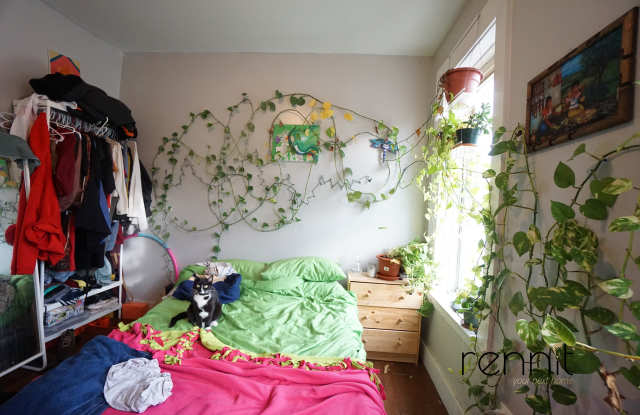 1614 Prospect Pl photos photos