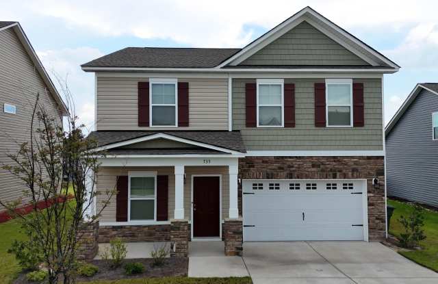 735 Bustling Branch Lane photos photos