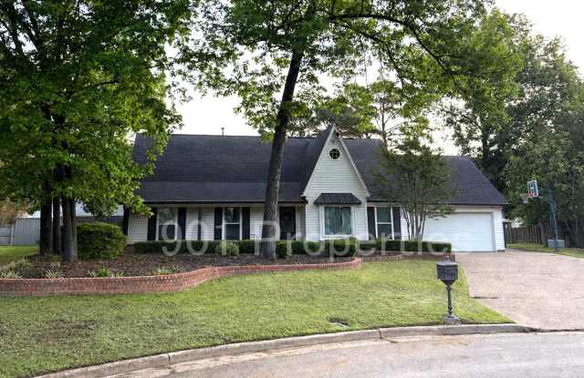 1602 Bubbling Brook Drive photos photos