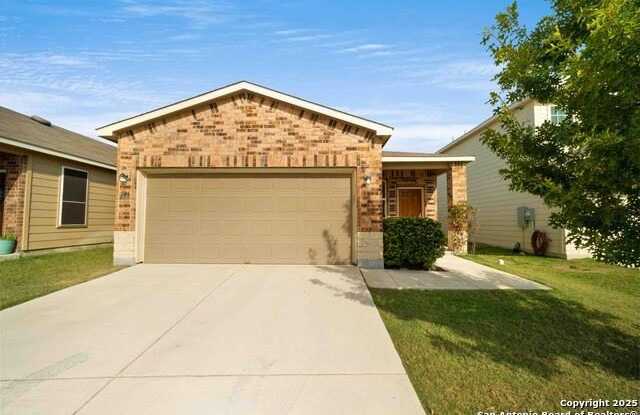 206 Elderberry photos photos