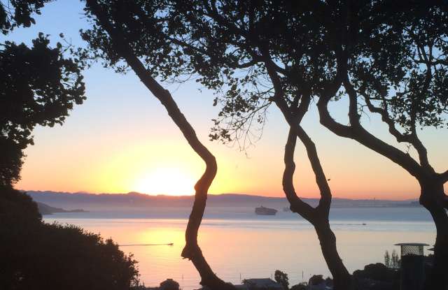 626 Main Street photos photos