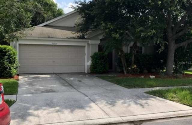 30537 LANESBOROUGH CIRCLE - 30537 Lanesborough Circle, Wesley Chapel, FL 33543