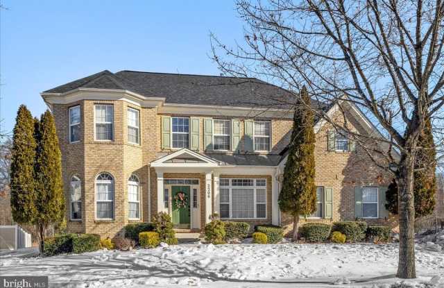 2206 GREEN GINGER Circle photos photos