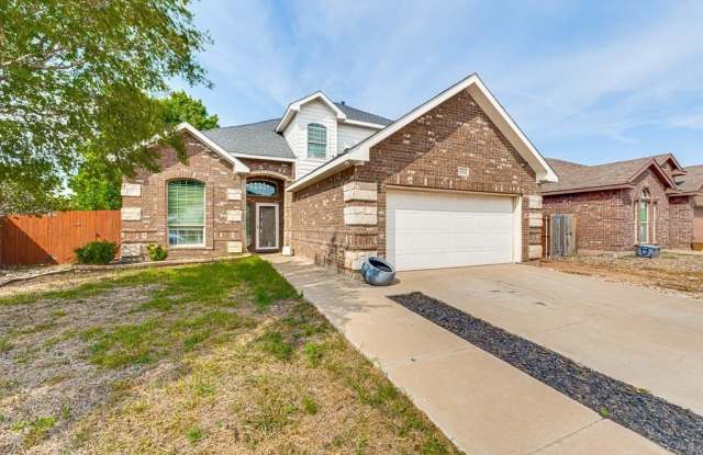 3904 Roma photos photos