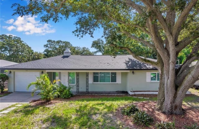 783 MARJON AVENUE - 783 Marjon Avenue, Dunedin, FL 34698