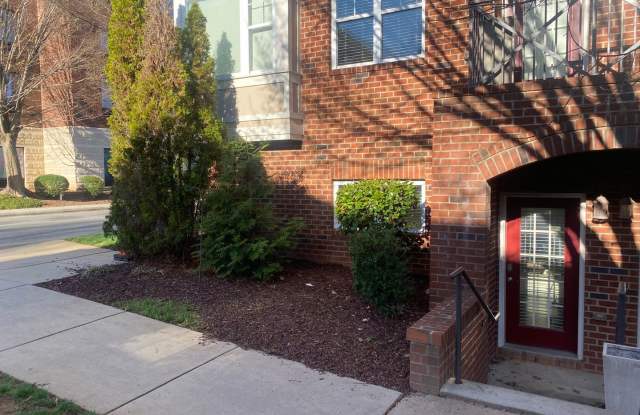 Modern Furnished Studio in Davidson – Walk to Shopping, Dining & Lake Access! Gallery 1