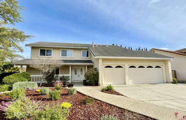 Immaculately Remodeled 5 Bedroom 2.5 Bath Almaden Gem photos photos