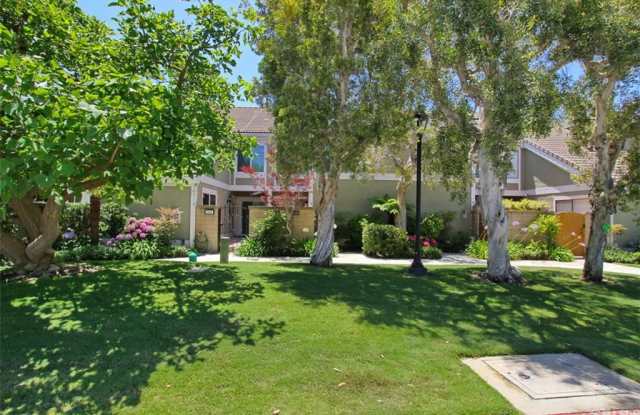 3526 Bravata Drive Gallery 3