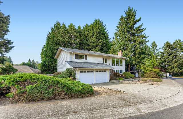 Beautiful Redmond Home Near Microsoft and Marymoor Park photos photos
