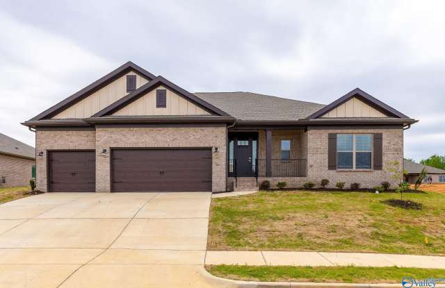 217 John Clift Circle - 217 John Clift Circle, Madison County, AL 35758