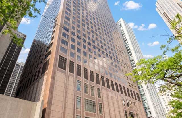 161 E Chicago Avenue photos photos