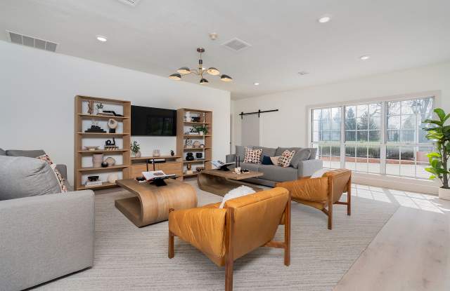 Steeplechase Gallery 4