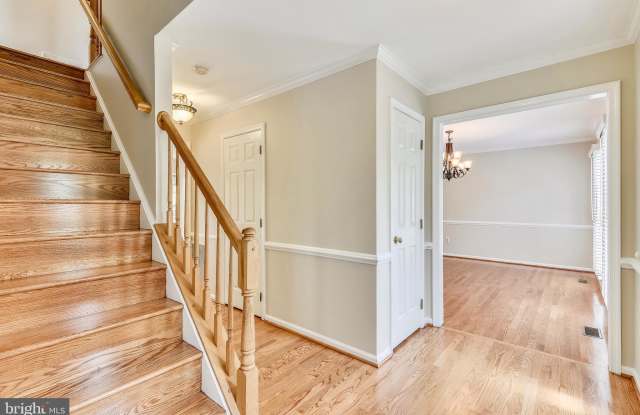13604 WHITE STONE COURT Gallery 3