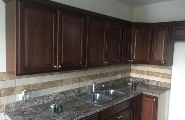 9121 S Laflin St.Apt. 3N photos photos