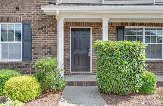 3015 Dena Ln - 3015 Dena Lane, Spring Hill, TN 37174