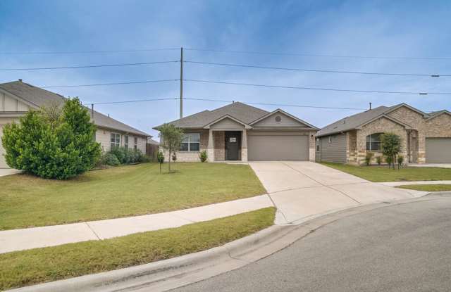 1007 Coolridge Ct, Hutto, TX  78634 photos photos